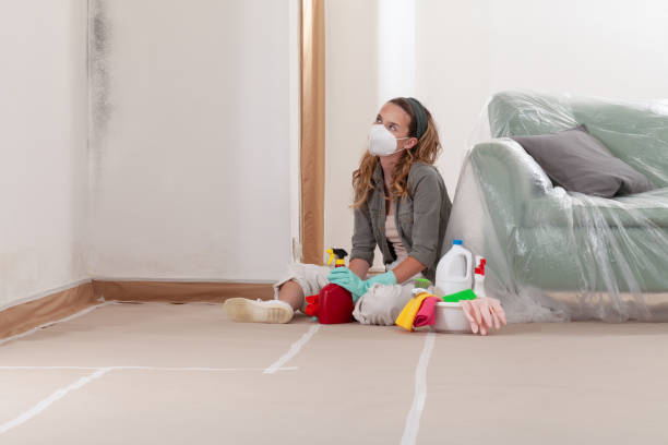 Reliable Mold Remediation contractor in Cottage Grove, MN by WQB Mold Removal